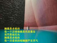 义乌市况任电子商务商行