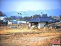 义乌市况任电子商务商行