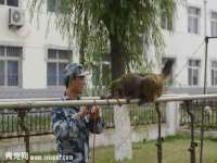 义乌市况任电子商务商行