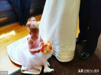 义乌市况任电子商务商行