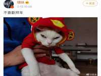 义乌市况任电子商务商行